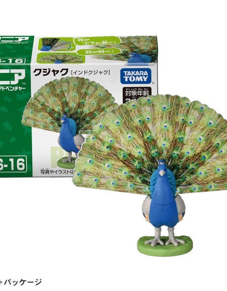 Takara Tomy ANIA animal Action Mini Figure - AS-16 Peacock