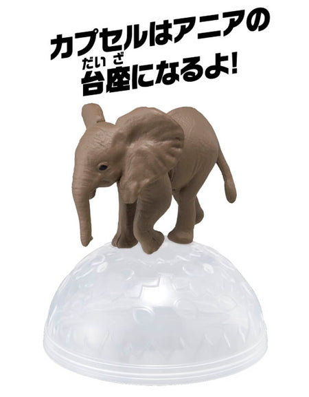 Takara Tomy ANIA animal Action Mini Figure - AC-02 Elephant (Child)