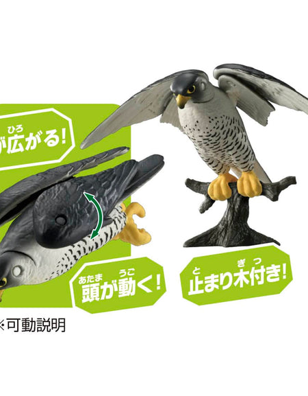 Takara Tomy ANIA animal Action Figure - AS-44 Peregrine Falcon