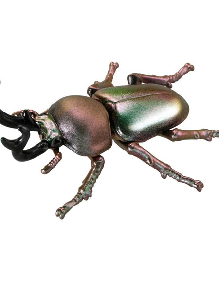 Takara Tomy ANIA animal Action Figure - AS-42 Phalacrognathus Muelleri