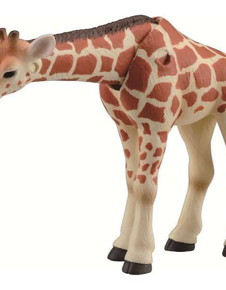 Takara Tomy ANIA Animal Action Figure AS-12 Reticulated Giraffe Kid Version