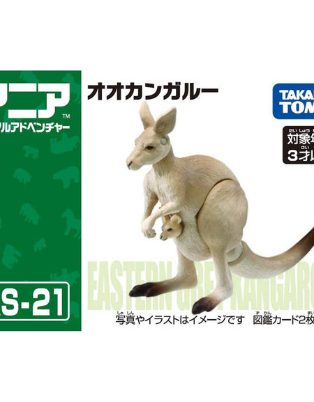 Takara Tomy ANIA AS-21 Kangaroo animal Action Figure