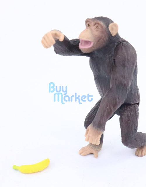 Load image into Gallery viewer, Takara Tomy ANIA Animal Advantage AS-14 Chimpanzee Action Figure Model Japan
