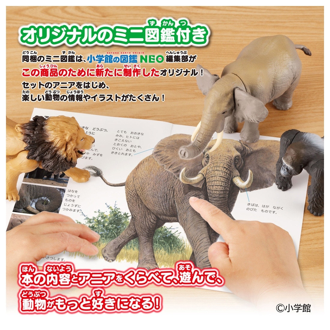 Takara Tomy Ania Shogakukan's Encyclopedia Neo Animals w/ Mini Field Guide