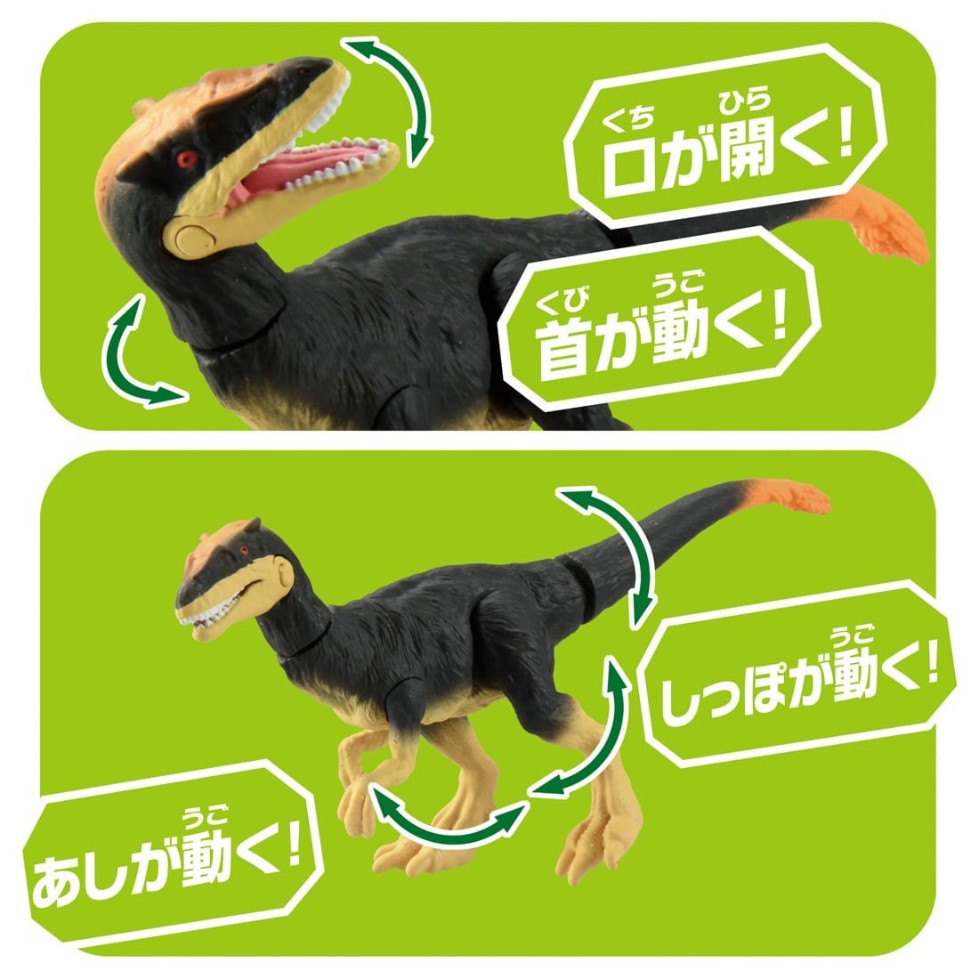 Takara Tomy ANIA Animal Adventure Action Figure AS-23 Dilong Dillon 5CM