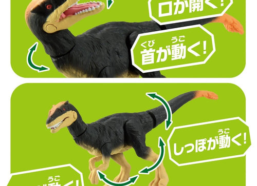 Load image into Gallery viewer, Takara Tomy ANIA Animal Adventure Action Figure AS-23 Dilong Dillon 5CM
