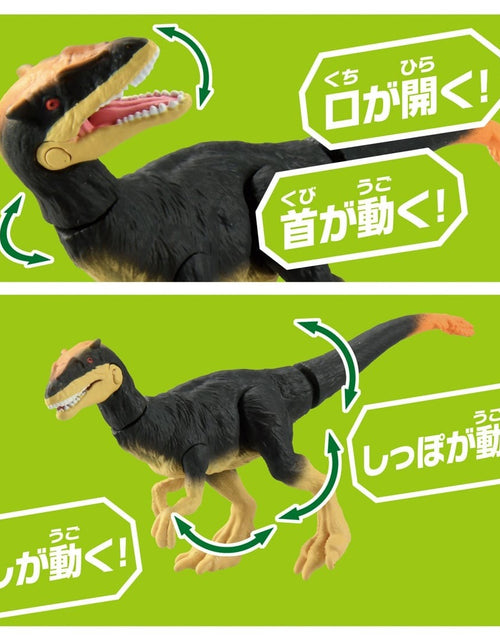 Load image into Gallery viewer, Takara Tomy ANIA Animal Adventure Action Figure AS-23 Dilong Dillon 5CM
