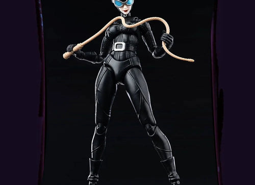 Load image into Gallery viewer, Blokees DC Champion Class 06 CC06 Batman Hush - Catwoman Model Kit Figure

