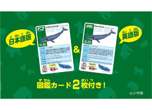 Load image into Gallery viewer, Takara Tomy Ania AL-23 Blue Whale (Floating Ver) Action Figure
