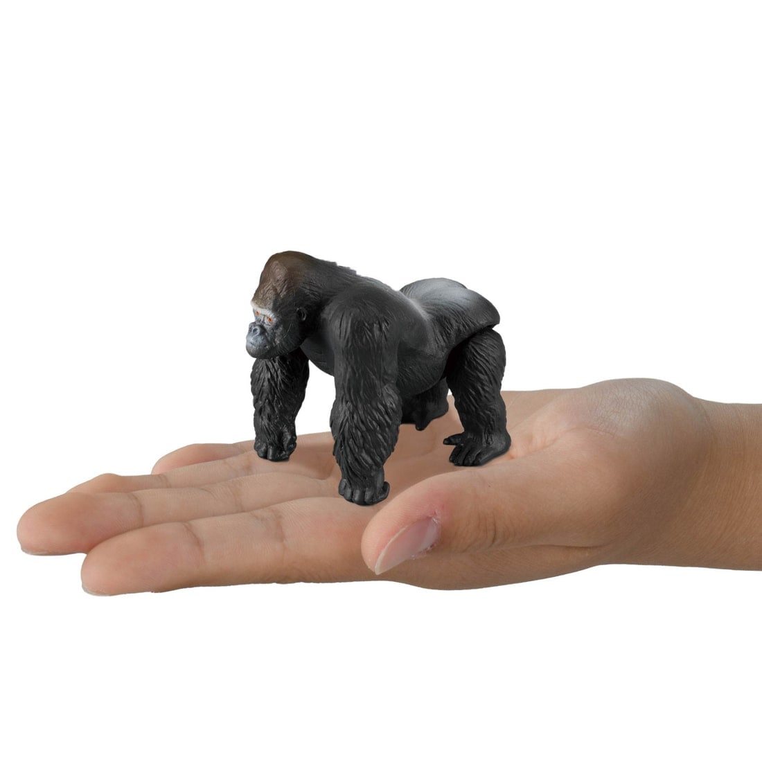 Takara Tomy Ania Shogakukan's Encyclopedia Neo Animals w/ Mini Field Guide