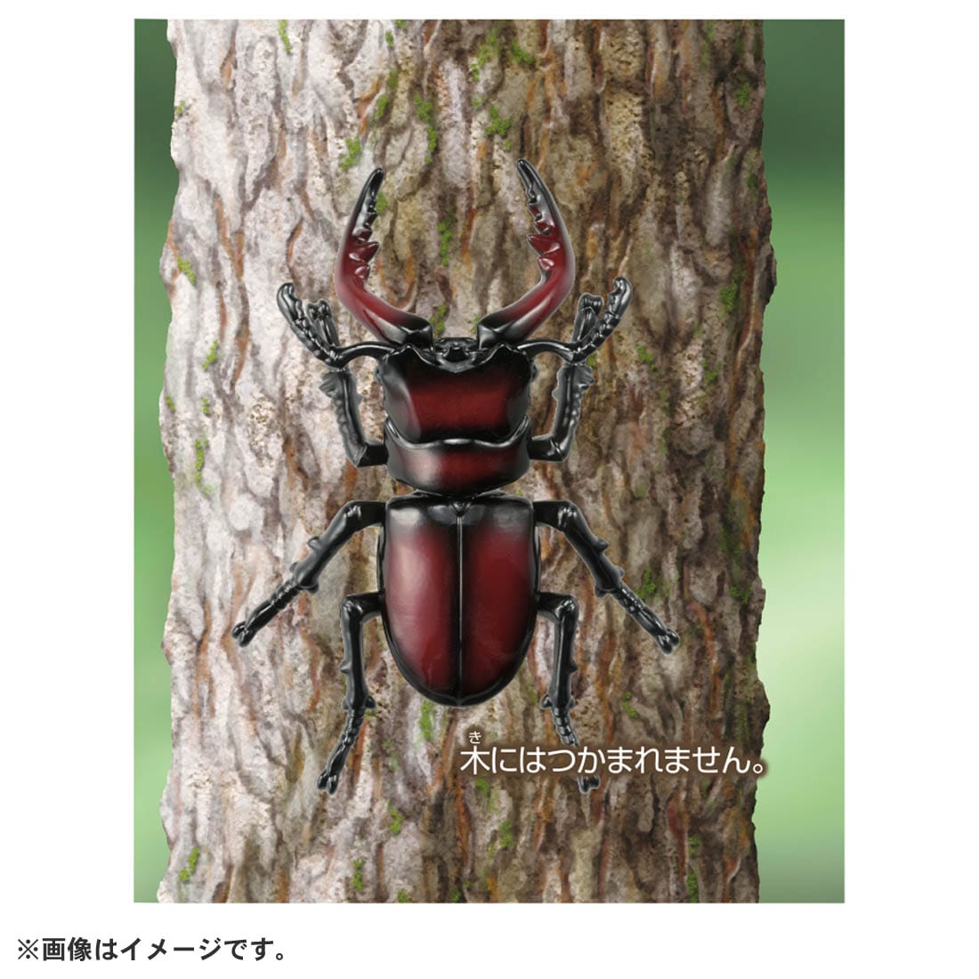 Takara Tomy ANIA animal Action Figure - AS-43 Prosopocoilus Inclinatus