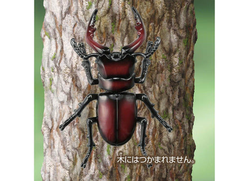 Load image into Gallery viewer, Takara Tomy ANIA animal Action Figure - AS-43 Prosopocoilus Inclinatus

