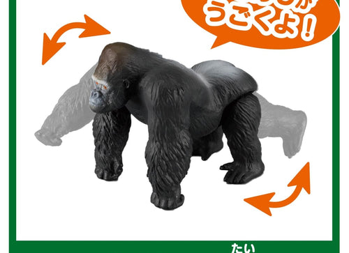 Load image into Gallery viewer, Takara Tomy Ania Shogakukan's Encyclopedia Neo Animals w/ Mini Field Guide
