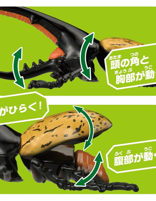 Load image into Gallery viewer, Takara Tomy ANIA AL-17 Dynastes Hercules Beetle Insects Figure 15cm
