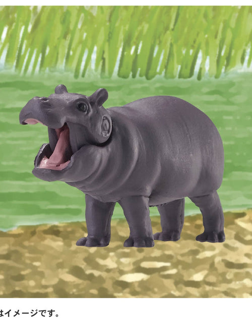Load image into Gallery viewer, Takara Tomy ANIA animal Action Mini Figure - AC-09 Hippo (Child)
