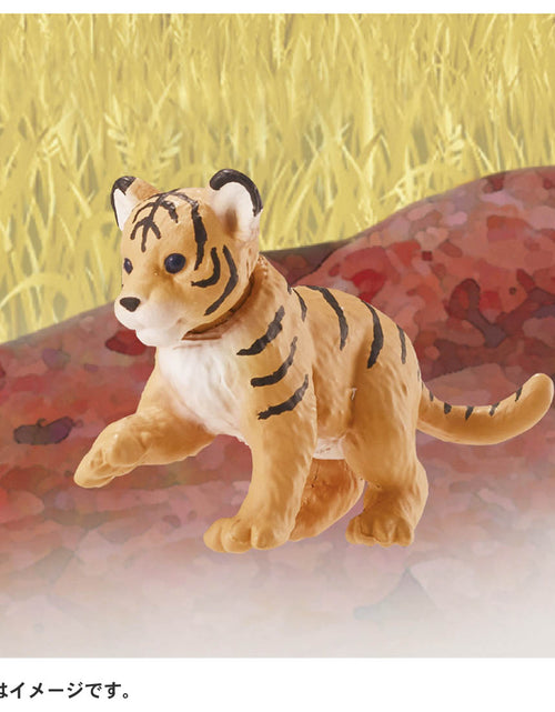 Load image into Gallery viewer, Takara Tomy ANIA animal Action Mini Figure - AC-07 Tiger Cub (Child)
