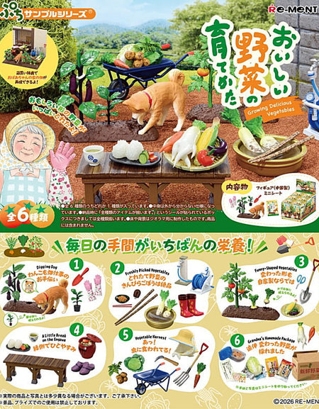 Re-ment Petit Sample Series Vegetable Harvesting 6pcs Complete Box Full Set