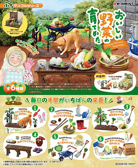 Re-ment Petit Sample Series Vegetable Harvesting 6pcs Complete Box Full Set