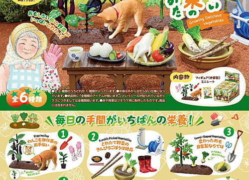 Load image into Gallery viewer, Re-ment Petit Sample Series Vegetable Harvesting 6pcs Complete Box Full Set
