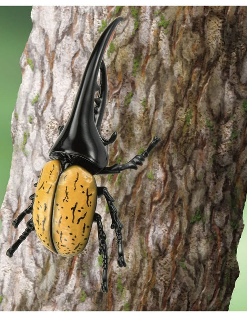 Load image into Gallery viewer, Takara Tomy ANIA AL-17 Dynastes Hercules Beetle Insects Figure 15cm
