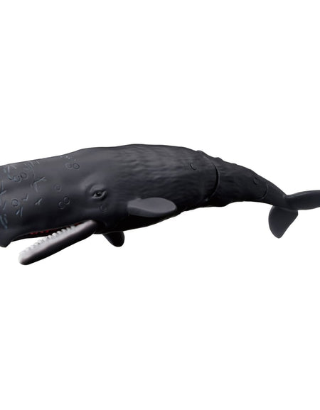 Takara Tomy Ania AL-34 Sperm Whale (Floating Version) Animal Figure