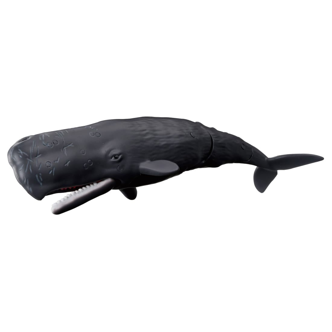 Takara Tomy Ania AL-34 Sperm Whale (Floating Version) Animal Figure