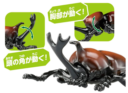 Load image into Gallery viewer, Takara Tomy ANIA animal Action Figure - AS-37 Beetle

