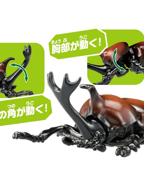 Load image into Gallery viewer, Takara Tomy ANIA animal Action Figure - AS-37 Beetle
