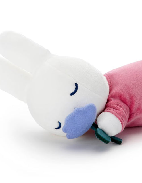 Load image into Gallery viewer, Takara Tomy A.R.T.S Plush - Bruna Miffy and Rose Suya Suya S Size Pink
