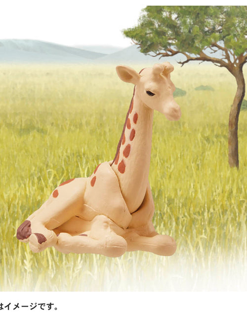 Load image into Gallery viewer, Takara Tomy ANIA animal Action Mini Figure - AC-04 Giraffe (Child)
