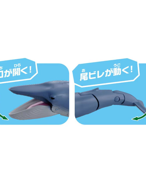 Load image into Gallery viewer, Takara Tomy Ania AL-23 Blue Whale (Floating Ver) Action Figure
