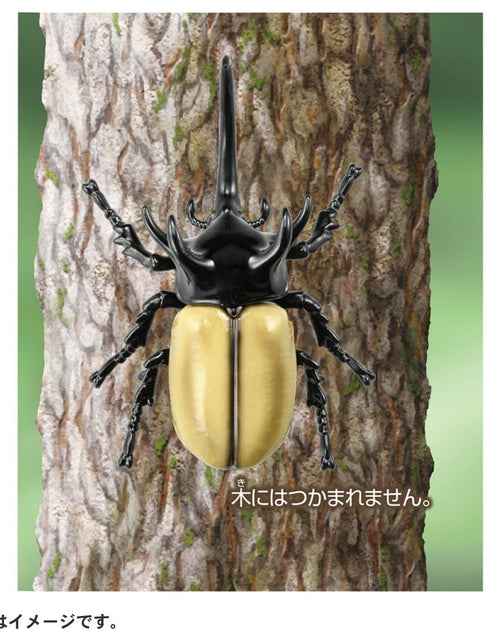 Load image into Gallery viewer, Takara Tomy ANIA animal Action Figure - AS-41 Eupatorus Gracilicornis
