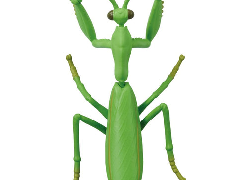 Load image into Gallery viewer, Takara Tomy Ania AL-32 Tenodera aridifolia Animal Mini Action Figure
