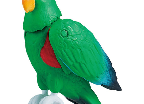 Load image into Gallery viewer, Takara Tomy Adventure Continent Ania Kingdom Eddie (Moluccan Eclectus) Figure

