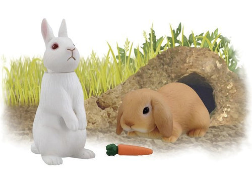 Load image into Gallery viewer, Takara Tomy ANIA Animal Advantage AS-34 Rabbit with Carrot Action figure Model
