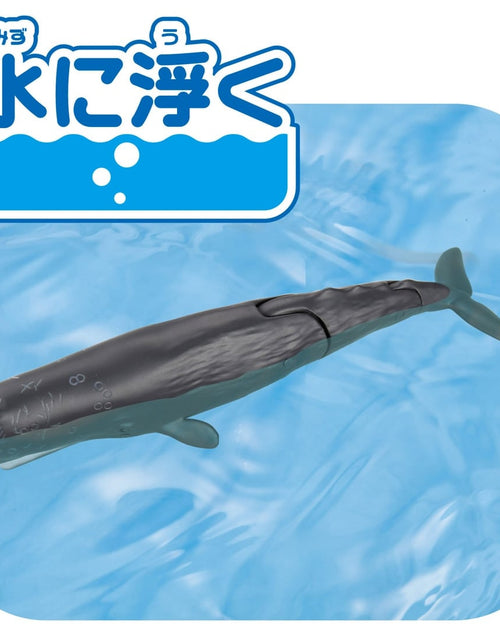 Load image into Gallery viewer, Takara Tomy Ania AL-34 Sperm Whale (Floating Version) Animal Figure
