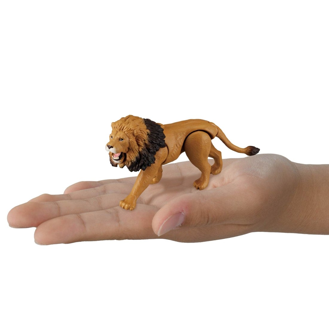 Takara Tomy Ania Shogakukan's Encyclopedia Neo Animals w/ Mini Field Guide