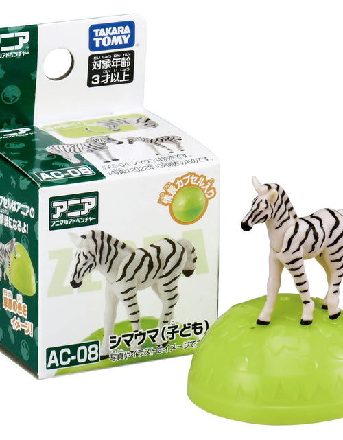 Load image into Gallery viewer, Takara Tomy ANIA animal Action Mini Figure - AC-08 Zebra (Child)
