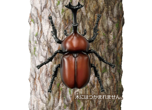 Load image into Gallery viewer, Takara Tomy ANIA animal Action Figure - AS-37 Beetle
