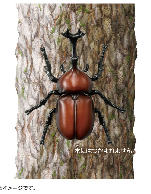 Load image into Gallery viewer, Takara Tomy ANIA animal Action Figure - AS-37 Beetle
