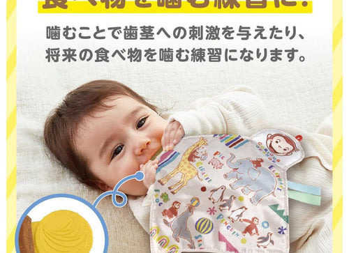 Load image into Gallery viewer, Takara Tomy Chew Chew Crinkle Fabric Play Curious George

