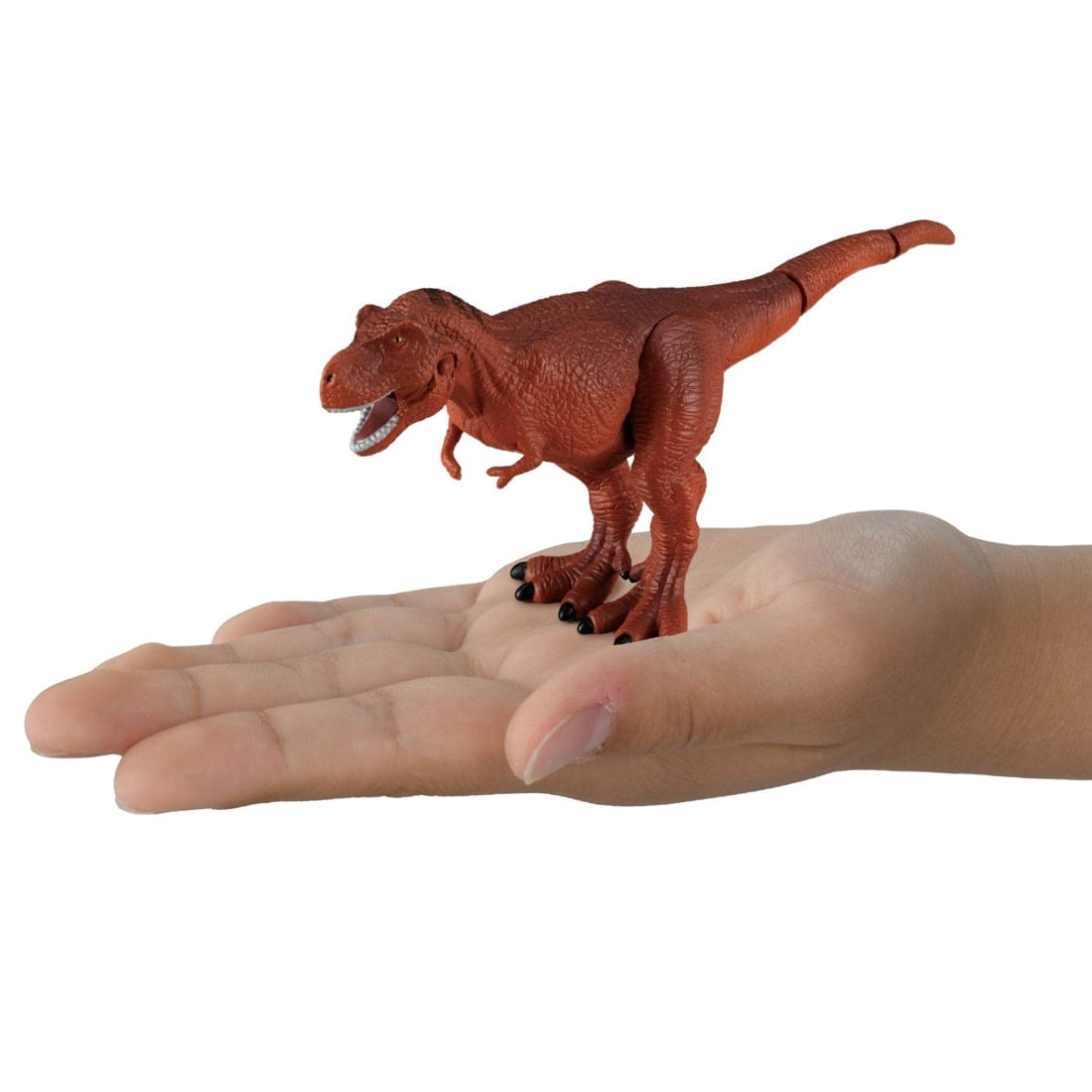 Takara Tomy Ania Shogakukan Encyclopedia Neo Prehistoric Creatures w/mini Guide