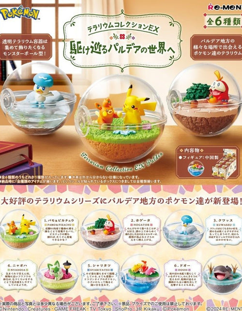 Load image into Gallery viewer, Re-ment Pokemon Terrarium Collection EX Exploring Paldea 6pcs Complete Box
