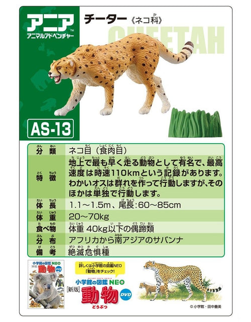 Load image into Gallery viewer, Takara Tomy ANIA Animal AS-13 Cheetah (Wild ver.) Mini Action Figure Toy Japan
