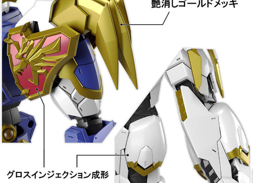 Load image into Gallery viewer, Bandai HG 1/144 Gundam: Amplified IMGN  (Model Kits)
