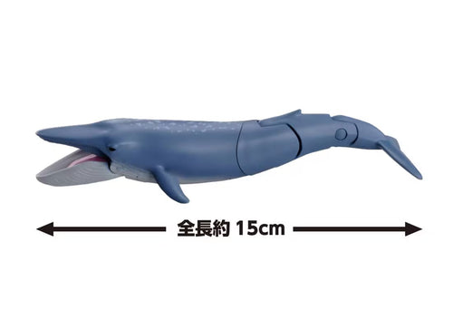 Load image into Gallery viewer, Takara Tomy Ania AL-23 Blue Whale (Floating Ver) Action Figure
