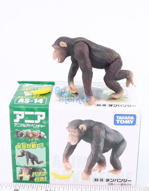 Load image into Gallery viewer, Takara Tomy ANIA Animal Advantage AS-14 Chimpanzee Action Figure Model Japan

