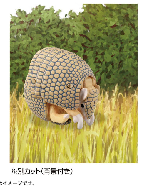 Load image into Gallery viewer, Takara Tomy ANIA animal Action Figure - AS-45 Armadillo (Brazilian Three-Banded)
