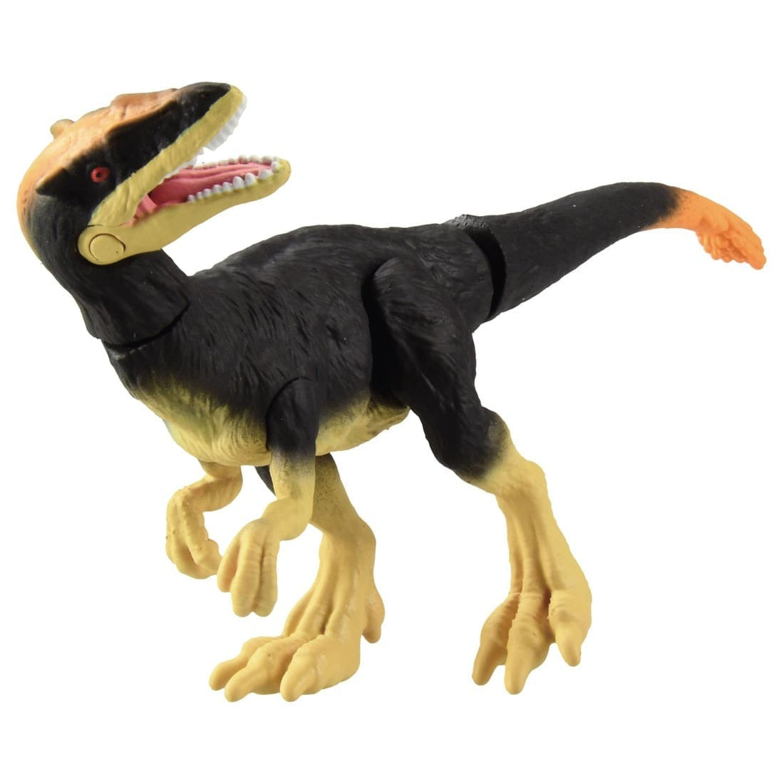 Takara Tomy ANIA Animal Adventure Action Figure AS-23 Dilong Dillon 5CM