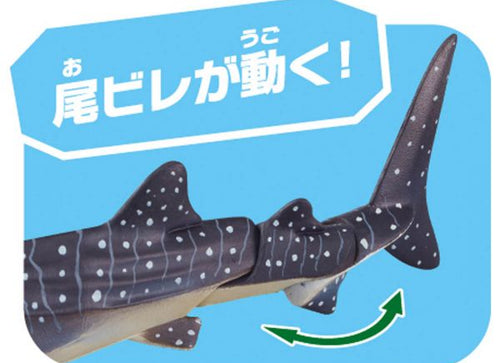 Load image into Gallery viewer, Takara Tomy ANIA Animal AL-05 Whale Shark  (Floatee Ver.) Mini Action Figure
